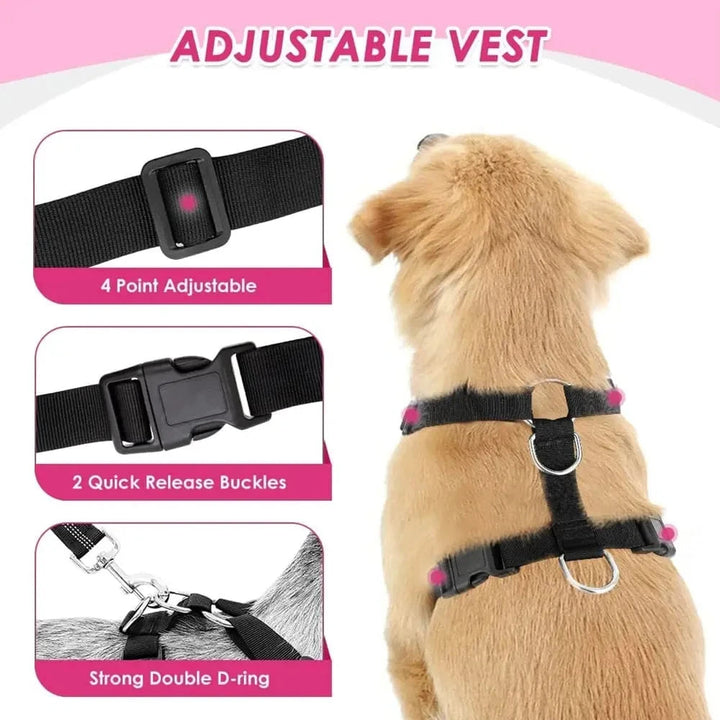 Dog Car Harness Seatbelt Set – Safe & Comfortable Travel for Your Pet