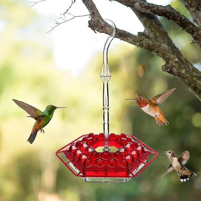 Wenkil Hummingbird Feeder with Ant Moat & 30 Feeding Ports