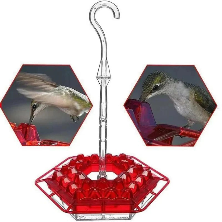 Wenkil Hummingbird Feeder with Ant Moat & 30 Feeding Ports