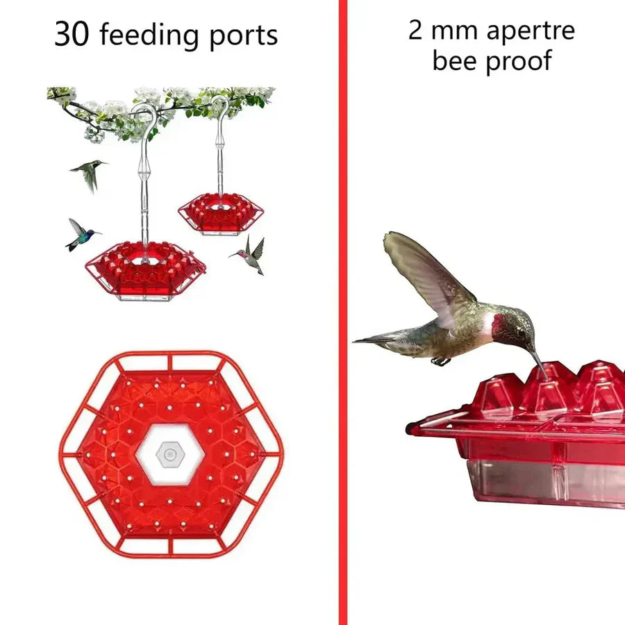 Wenkil Hummingbird Feeder with Ant Moat & 30 Feeding Ports
