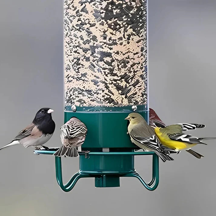 Wenkil Squirrel Proof Bird Feeder with Rotating Perch