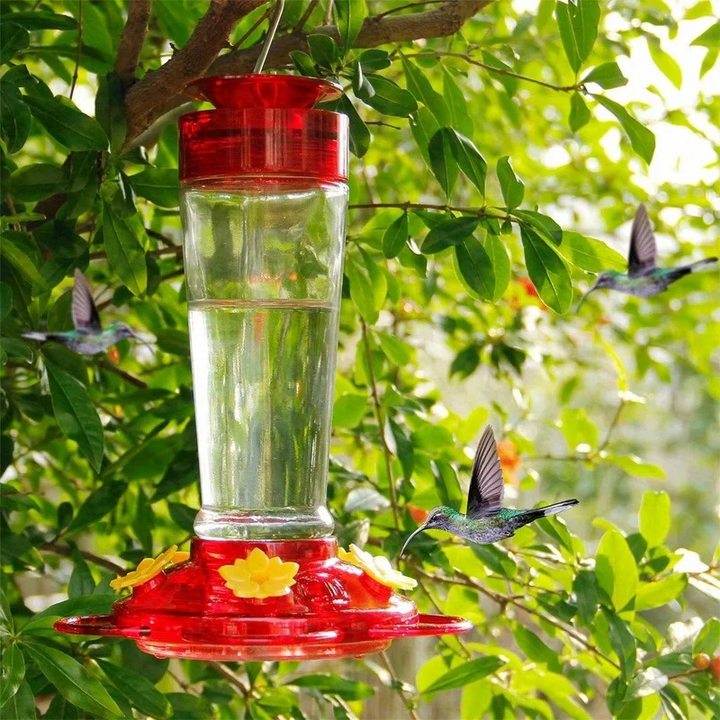 Wenkil Hanging Hummingbird Feeder with 5 Nectar Ports