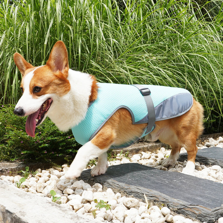 Dog Cooling Vest – Breathable Adjustable Summer Vest