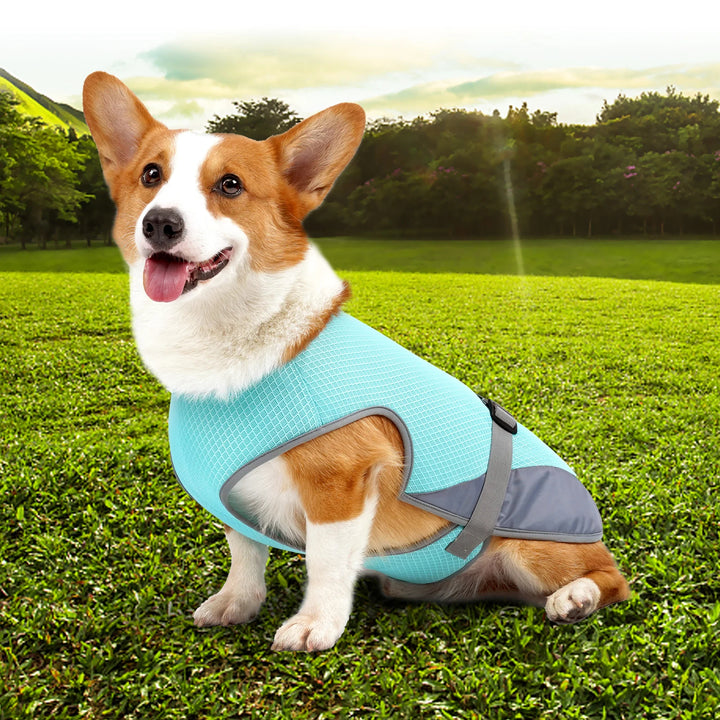 Dog Cooling Vest – Breathable Adjustable Summer Vest