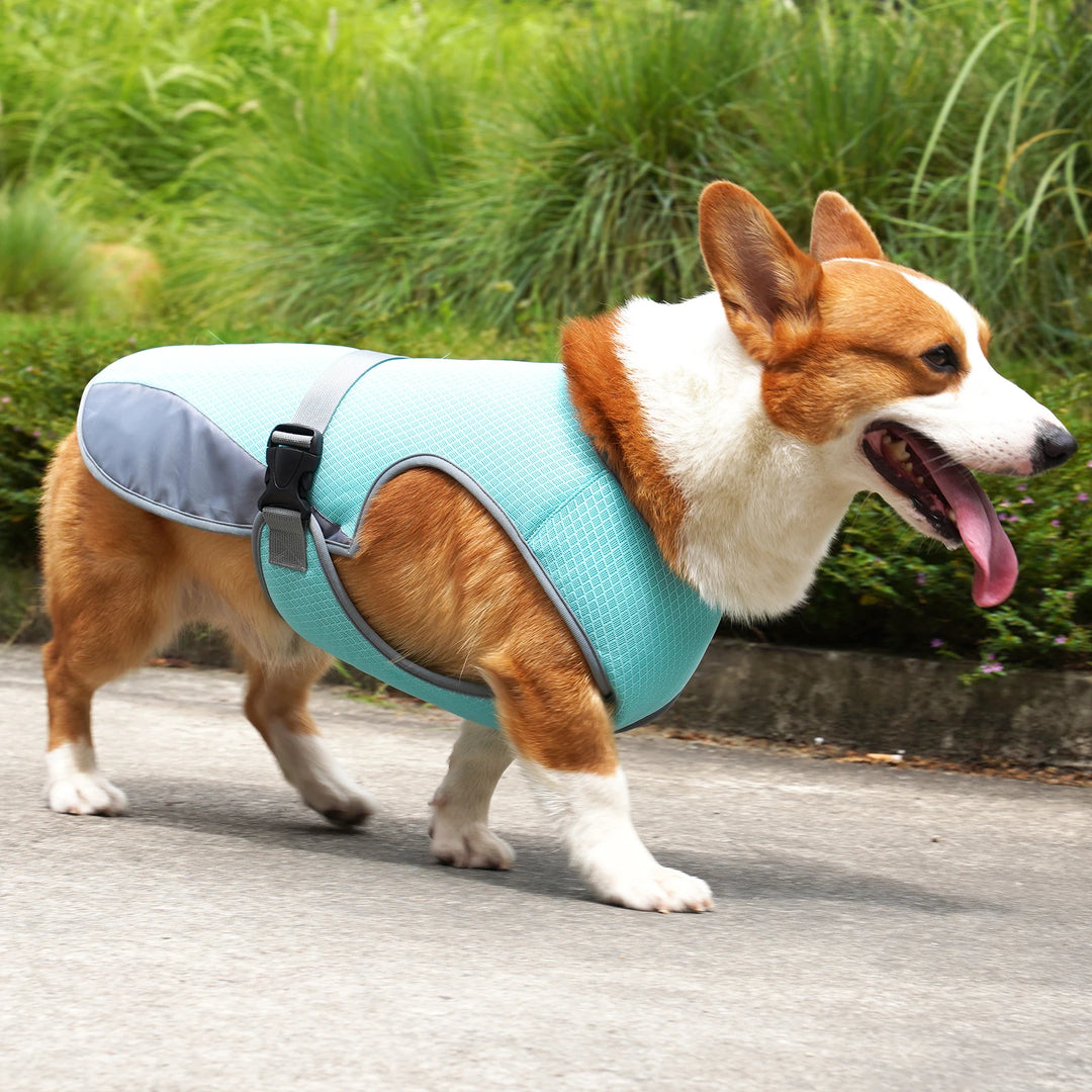 Dog Cooling Vest – Breathable Adjustable Summer Vest