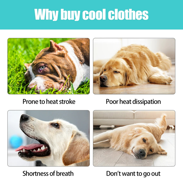 Dog Cooling Vest – Breathable Adjustable Summer Vest