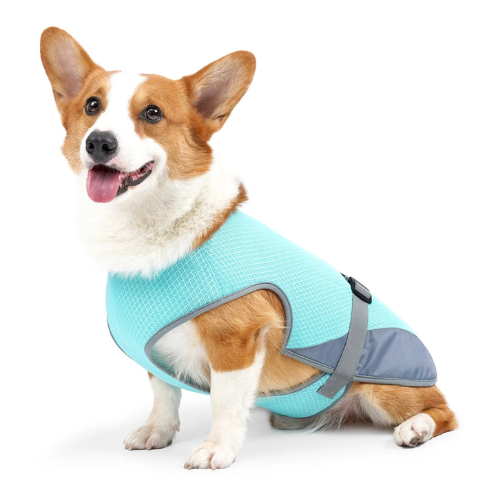 Dog Cooling Vest – Breathable Adjustable Summer Vest