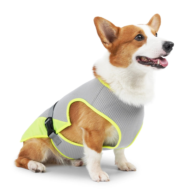 Dog Cooling Vest – Breathable Adjustable Summer Vest