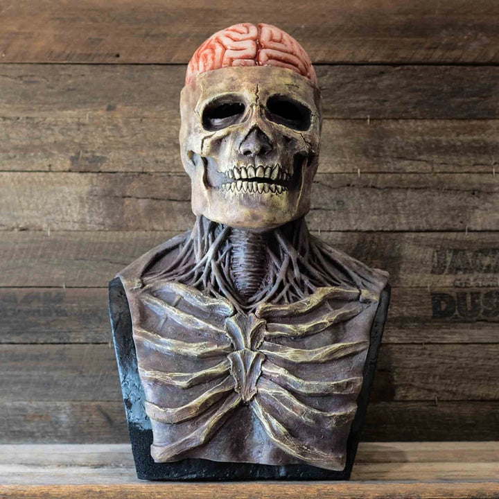 Latex Skeleton Mask | Full Face Horror Skull Mask for Halloween Cosplay & Costume Parties